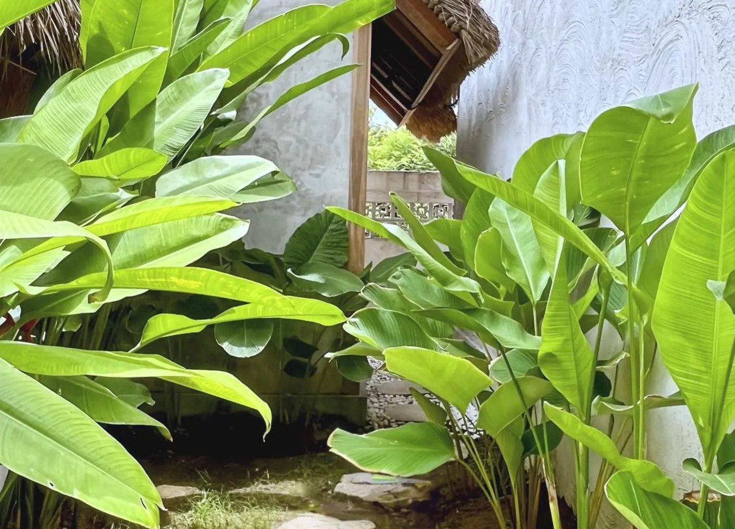 Guest house Villa Belimbing Bingin Beach Bali Pecatu  Indonesia